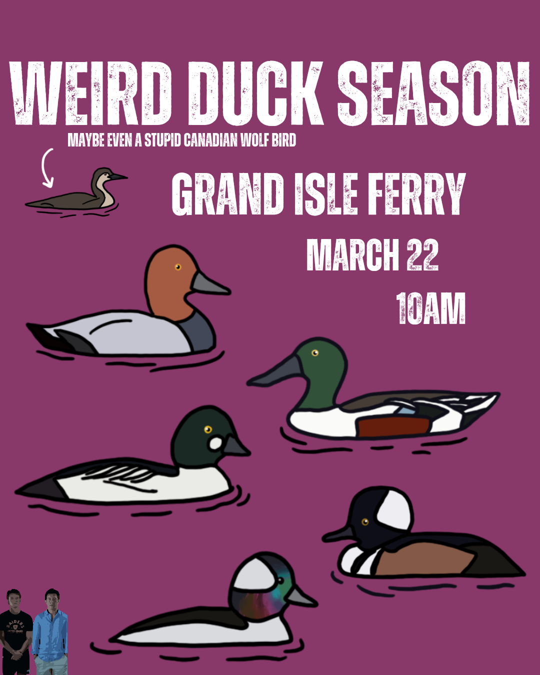 Northern Vermont - Weird Duck Season
