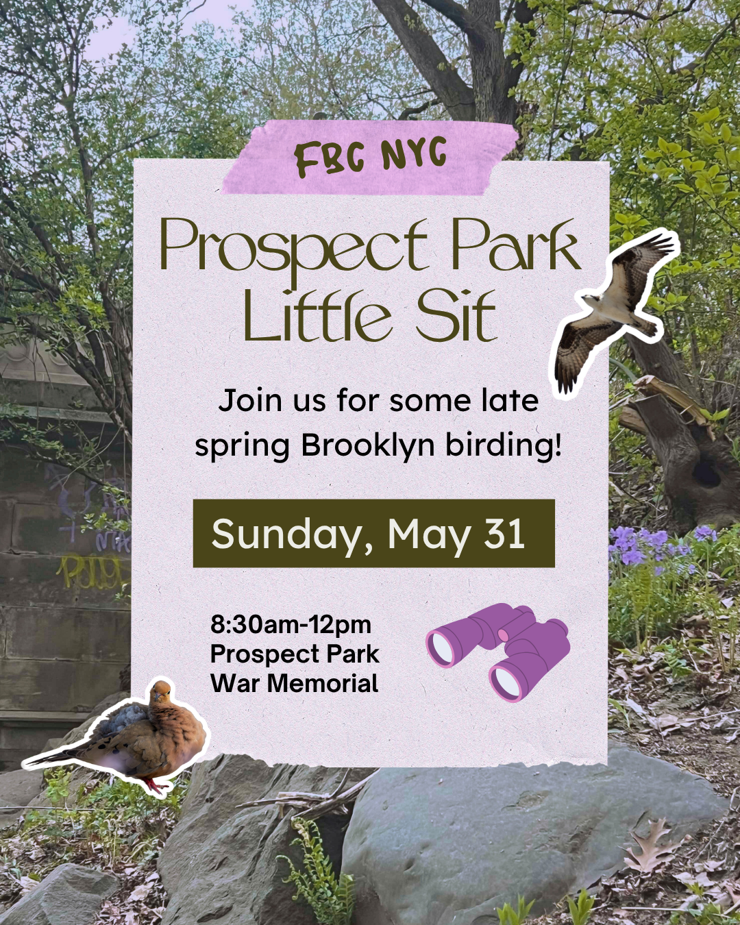 NYC - Little Sit at Prospect Park