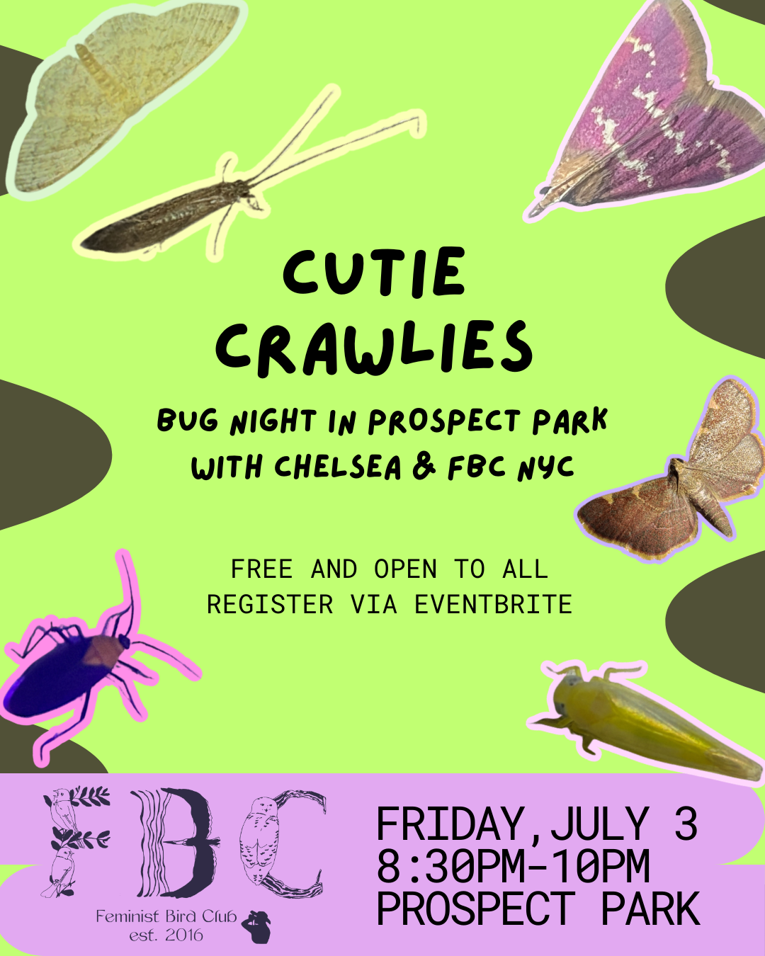 FBC NYC - Cutie Crawlies Bug Night in Prospect Park