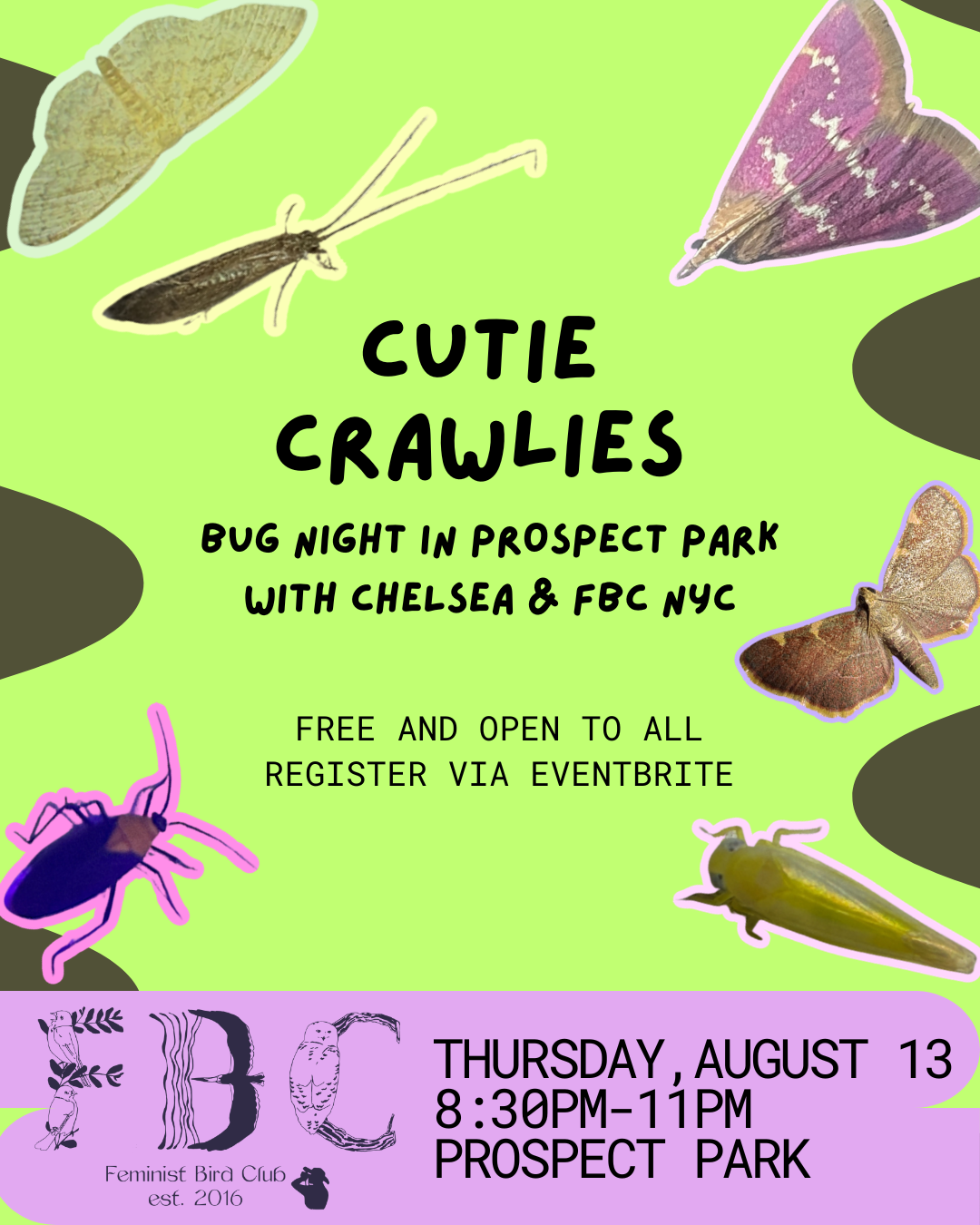 FBC NYC - Cutie Crawlies Bug Night in Prospect Park Session 3