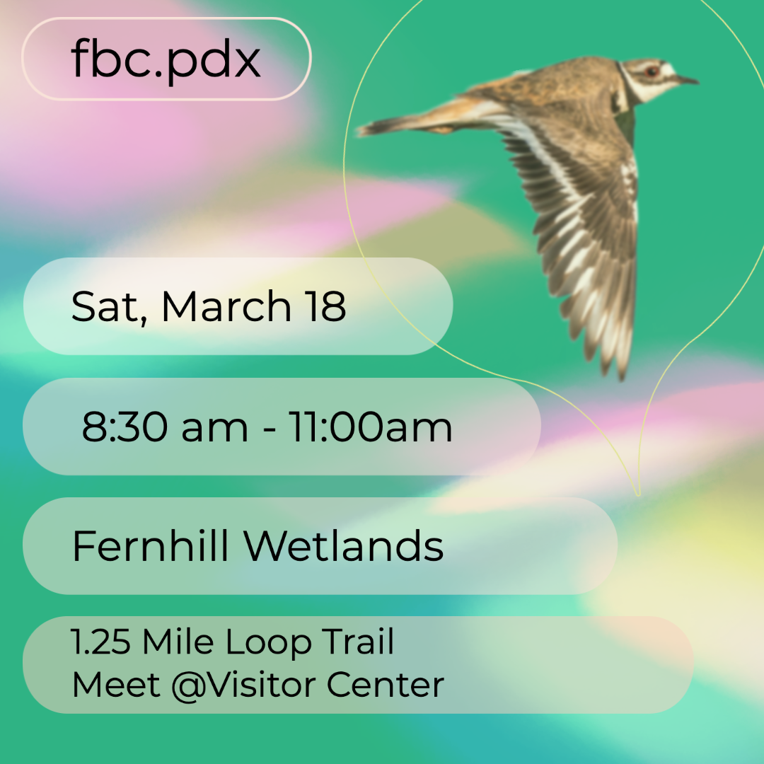 Text-based image with a slightly out-of-focus Killdeer flying. Text reads: fbc.pdx; Sat, March 18. Fernhill Wetlands. 1.25 Mile Loop Trail. Meet at Visitor Center.