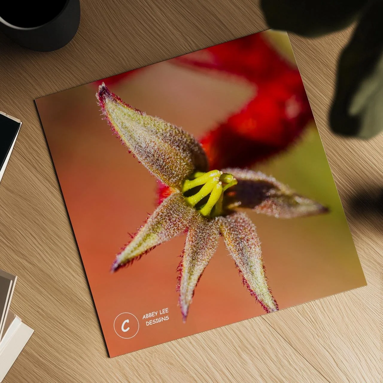 Vibrant Kangaroo Paw Square Print