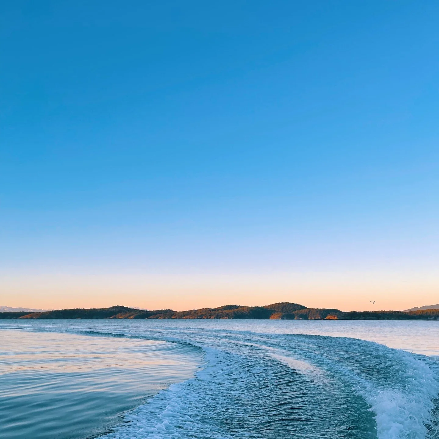 More of this please👆🏼⁠
.⁠
.⁠
.⁠
.⁠
.⁠
#hourstonglascraft #bcbuiltboat #northvancouverbuilt #salishsea #sunshinecoastbc #vancouverislandbc #fishing #bc #nelsonisland #powellriverbc #hardyisland #thormanbyisland #secretcovebc #boating #bestboateverma