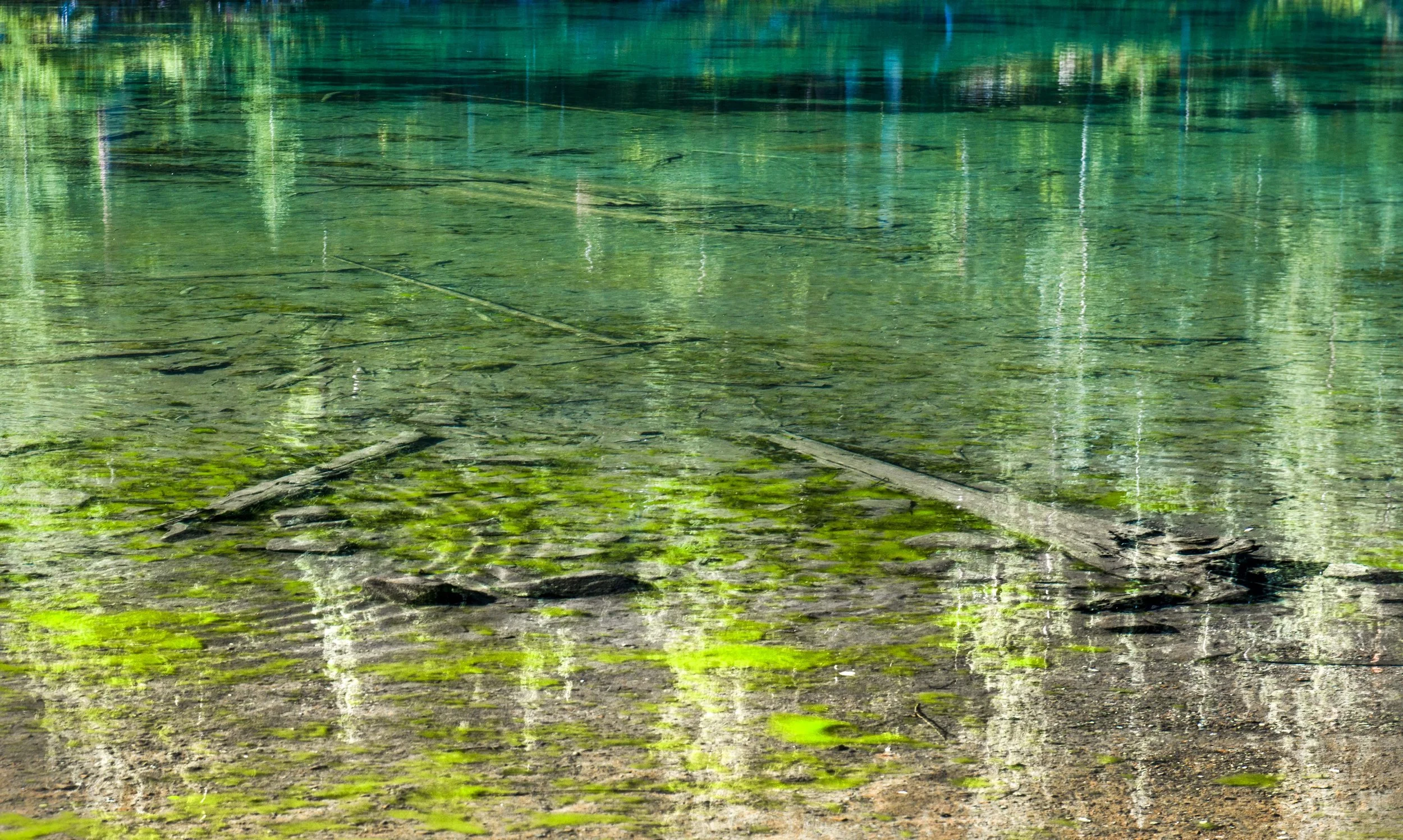 DSC_9126 copy.jpg