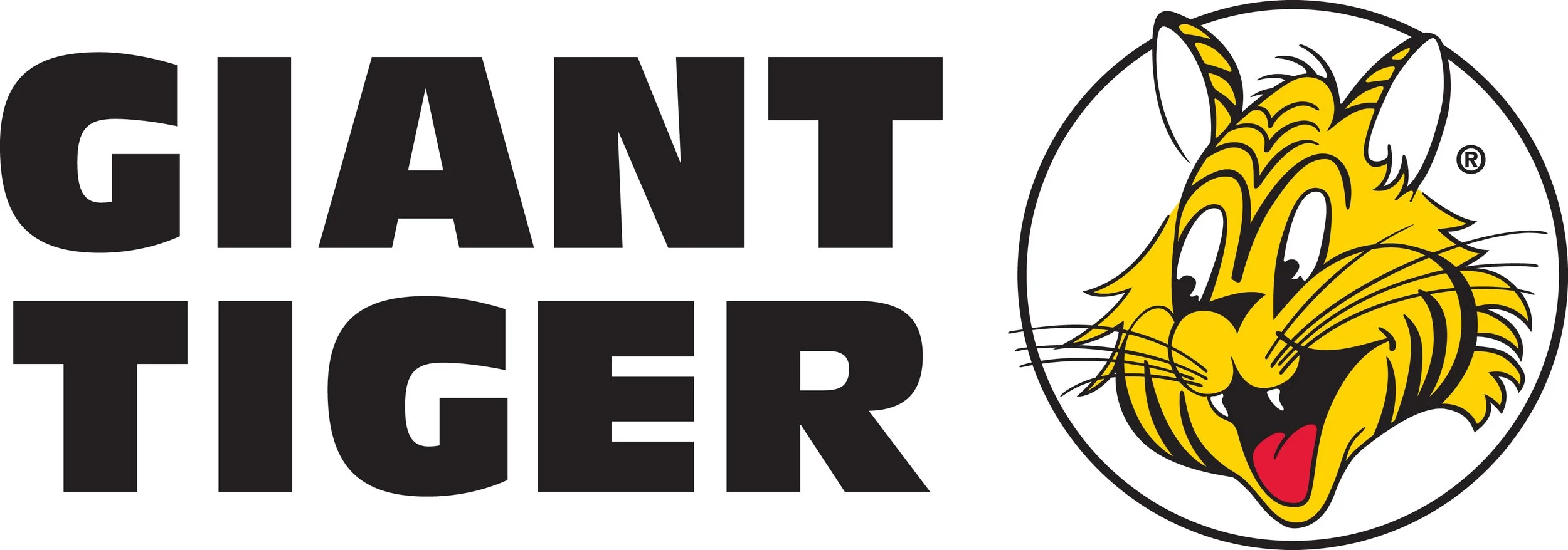 logo-guidelines-fy21-GTlogo-wordmark-en-colour.jpeg