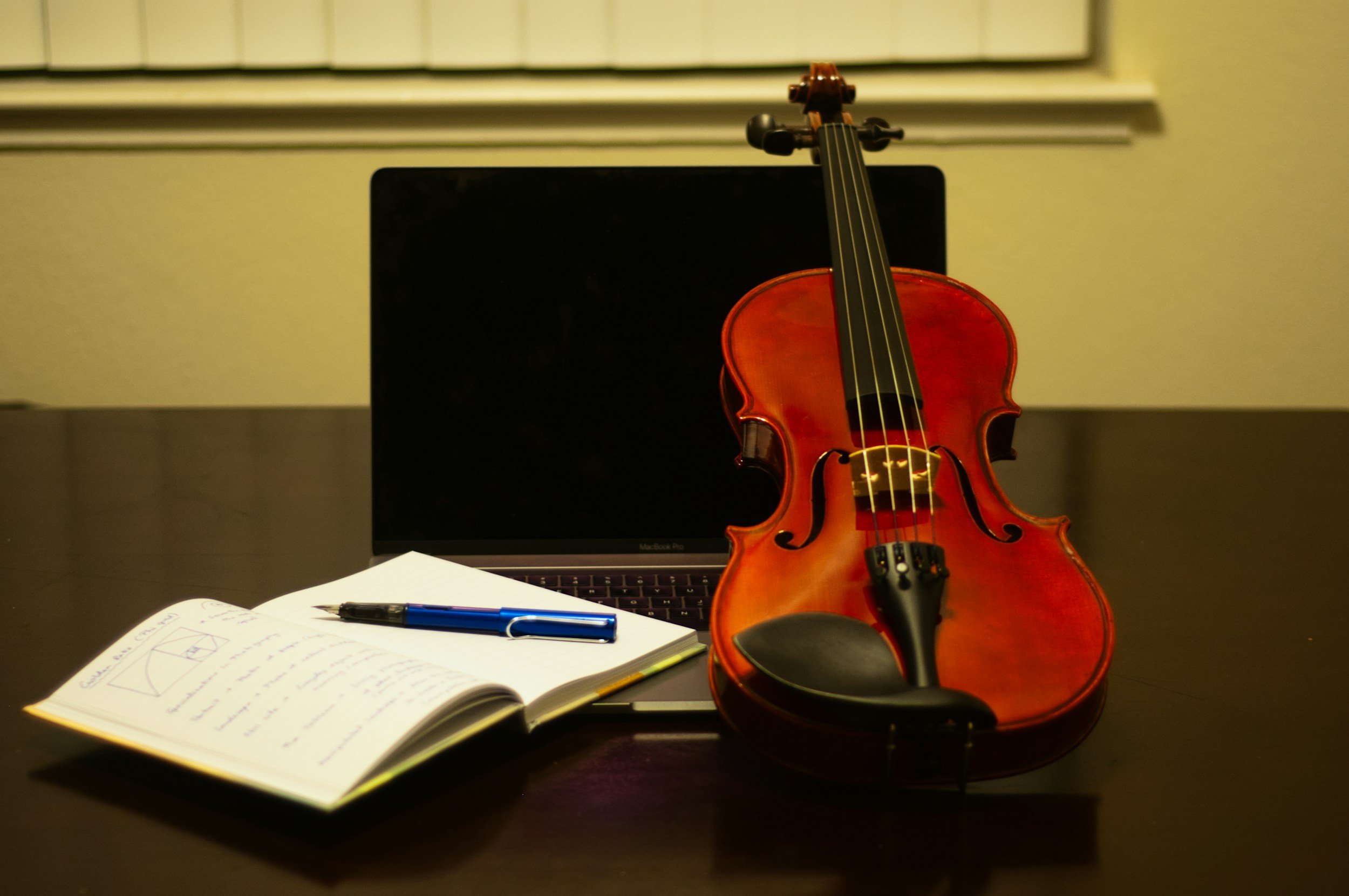 Why Learning the Violin Could Be One of the Best Decisions for Your Child