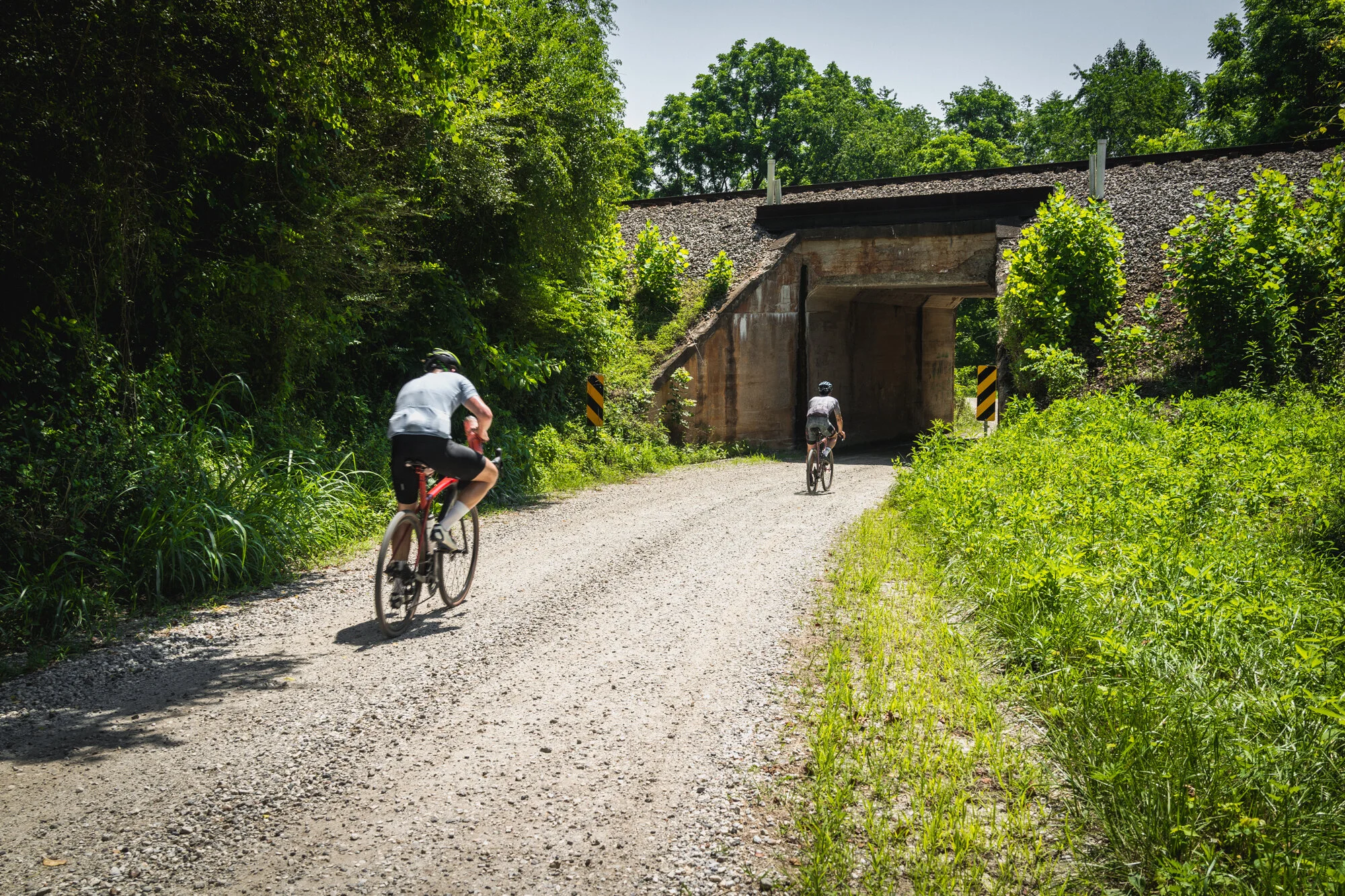 Dr. Ho’s Humble Adventure