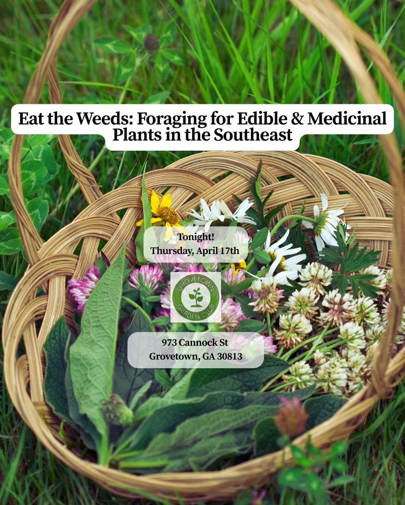 Join me tonight!

Eat the Weeds: Foraging for Edible and Medicinal Plants in the Southeast

Join me at the Grovetown Garden Club for an exciting opportunity to learn how to forage food and medicine right outside your back door! I will guide you throu