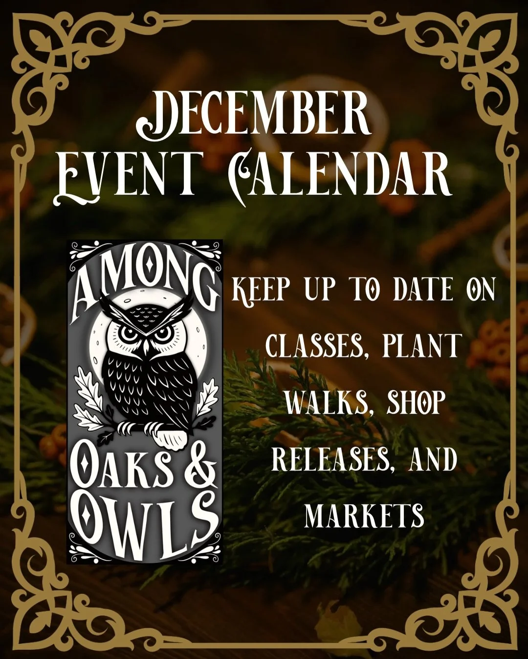 ✨ December Events Are Here! ✨
 I&rsquo;m so excited to share everything happening this month with Among Oaks &amp; Owls, from cozy workshops to festive markets and a magical plant walk. 🍃

Here&rsquo;s what&rsquo;s coming up:

📍 Dec 10 &mdash; Grov