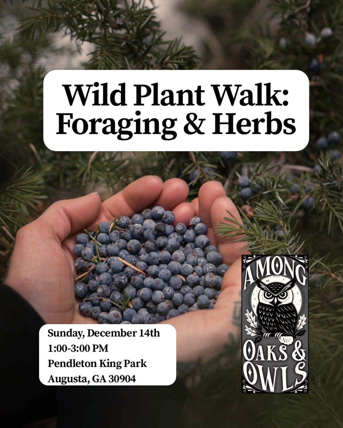 🌿 Wild Plant Walk 🌿

Join me for a relaxing Wild Plant Walk through Pendleton King Park, where we will explore local edible and medicinal plants, talk about sustainable foraging, and learn how to identify plants with confidence. This is a wonderful