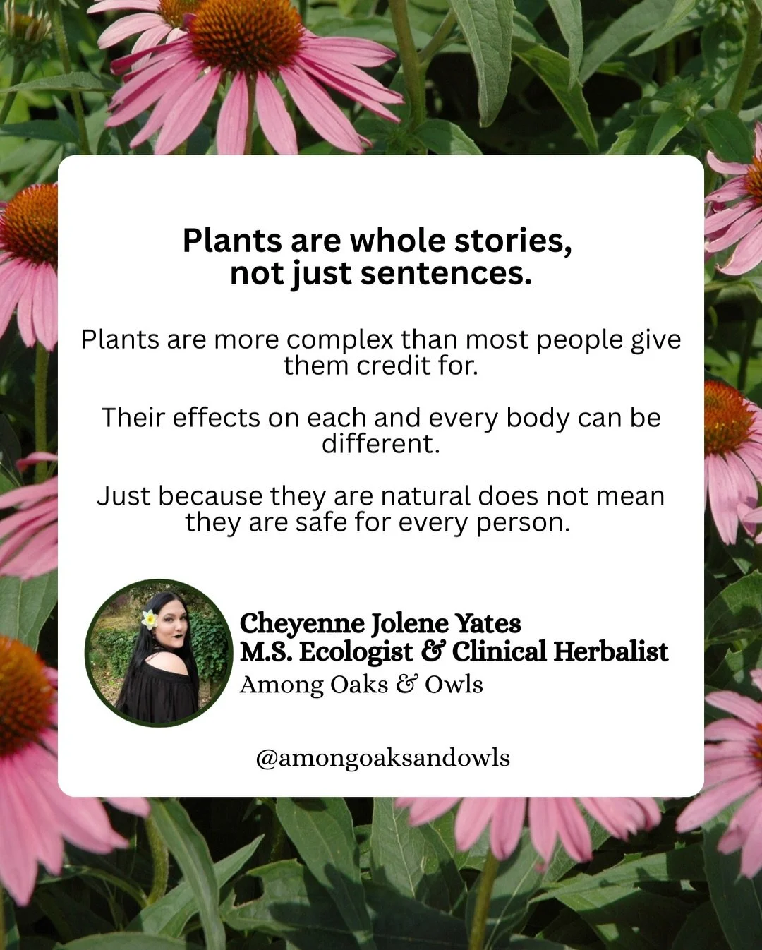 Plants are whole stories, not just sentences.

Plants are more complex than most people give them credit for. Their effects on each and every body can be different. Just because they are natural does not mean they are safe for every person. 

Herbs c