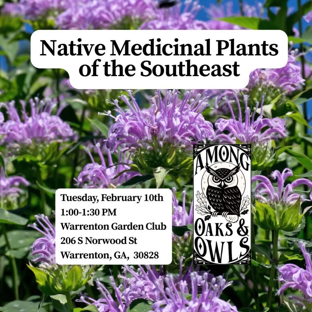 🌿 Native Medicinal Plants of the Southeast 🌿

Want to grow your own healing garden with plants that are native to the Southeast? Join me at the Warrenton Garden Club for a talk focused on how to successfully grow native medicinal plants right in yo