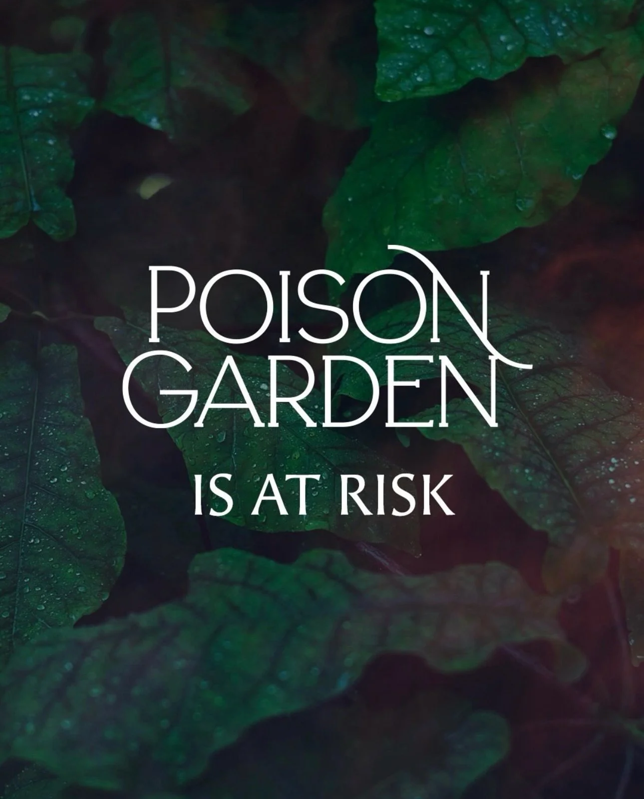‼️Poison Garden Needs Your Help‼️

Poison Garden is a community-led anthology project dedicated to sharing information about poison plants and how to be in relationship with them.

I wrote a piece for this issue and would love to see it published.  U