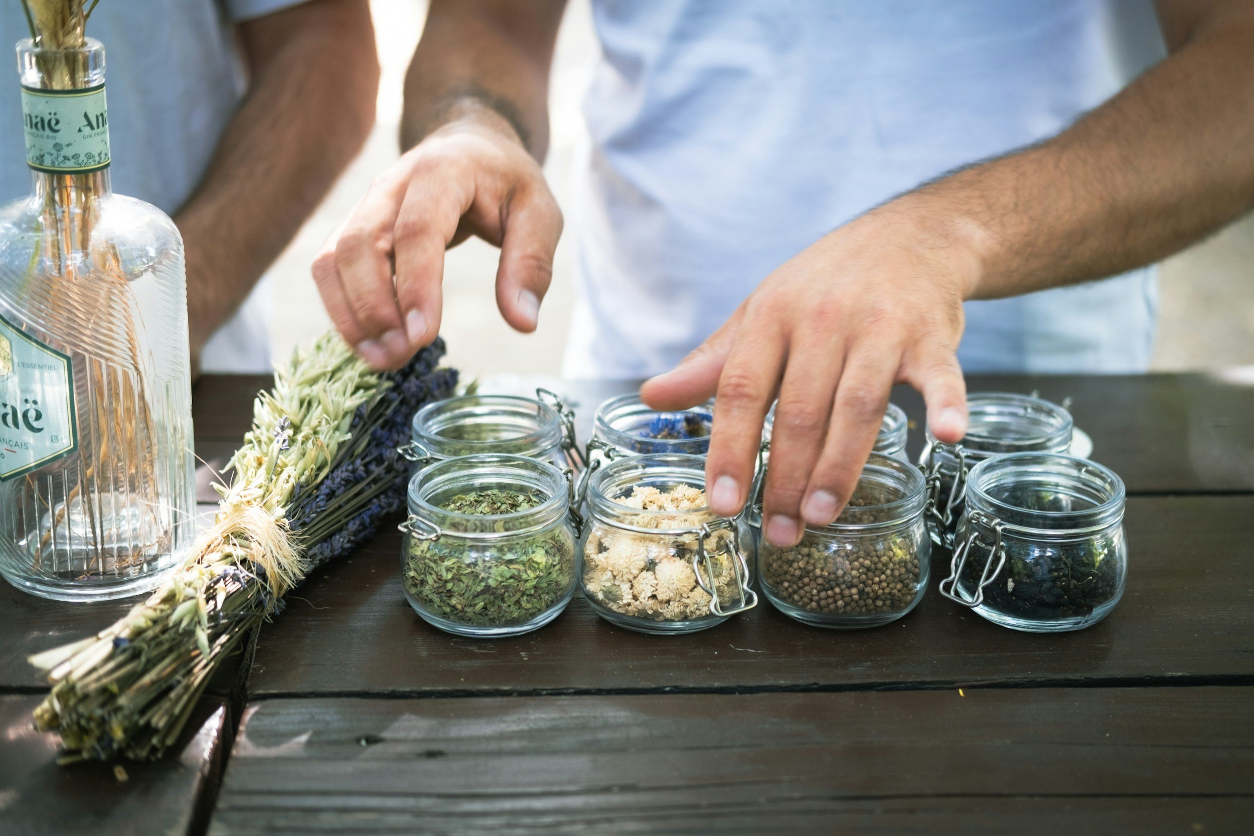 Herbal Energetics: The Ancient Language of Herbs and How to Choose the Right Plant for Your Body