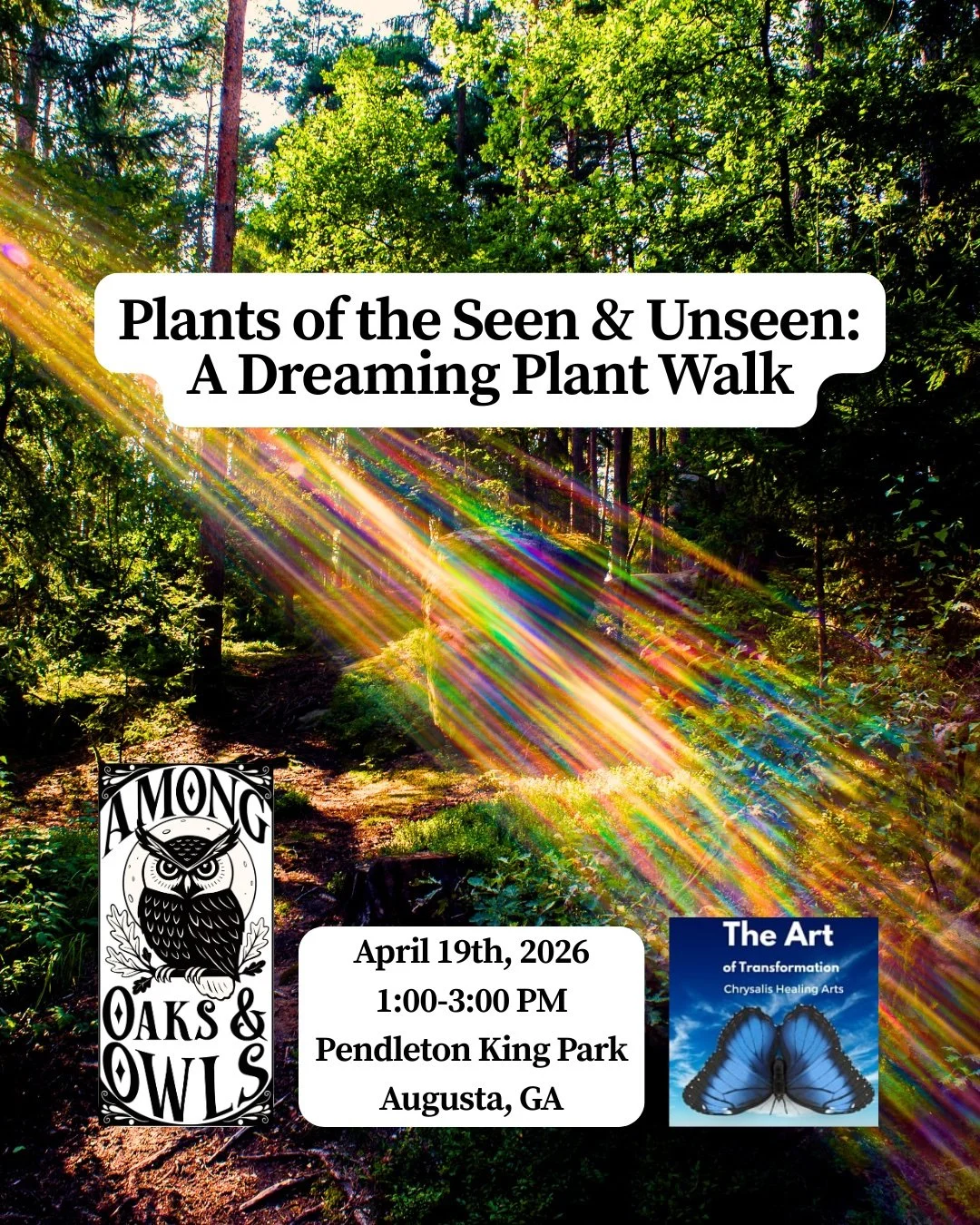 Plants of the Seen & Unseen A Dreaming Plant Walk.jpg