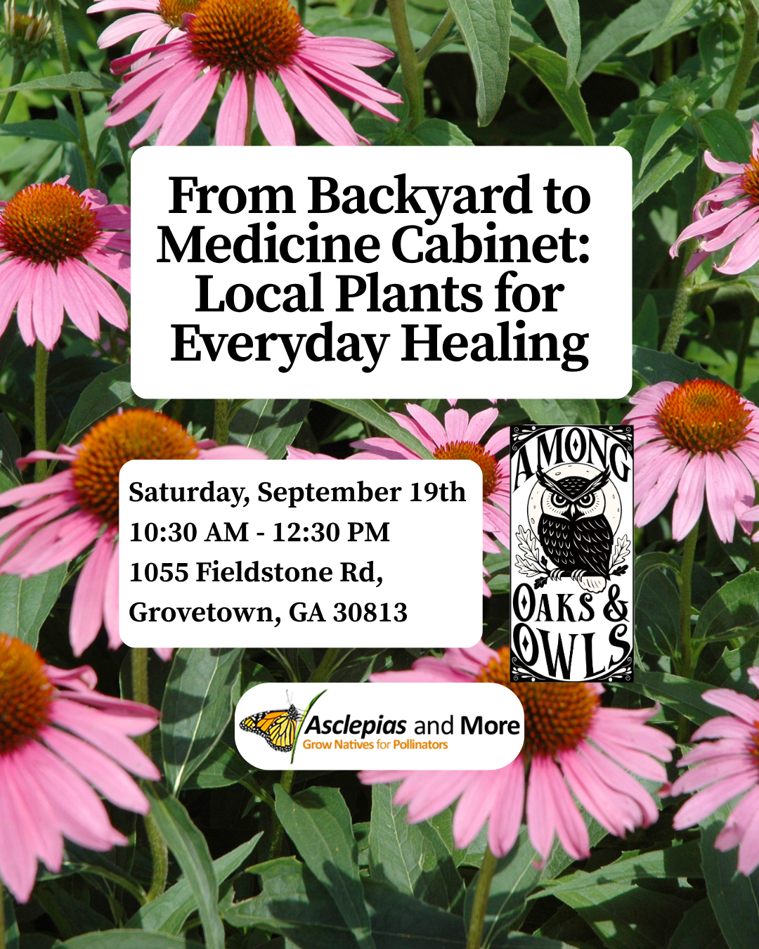From Backyard to Medicine Cabinet: Local Plants for Everyday Healing