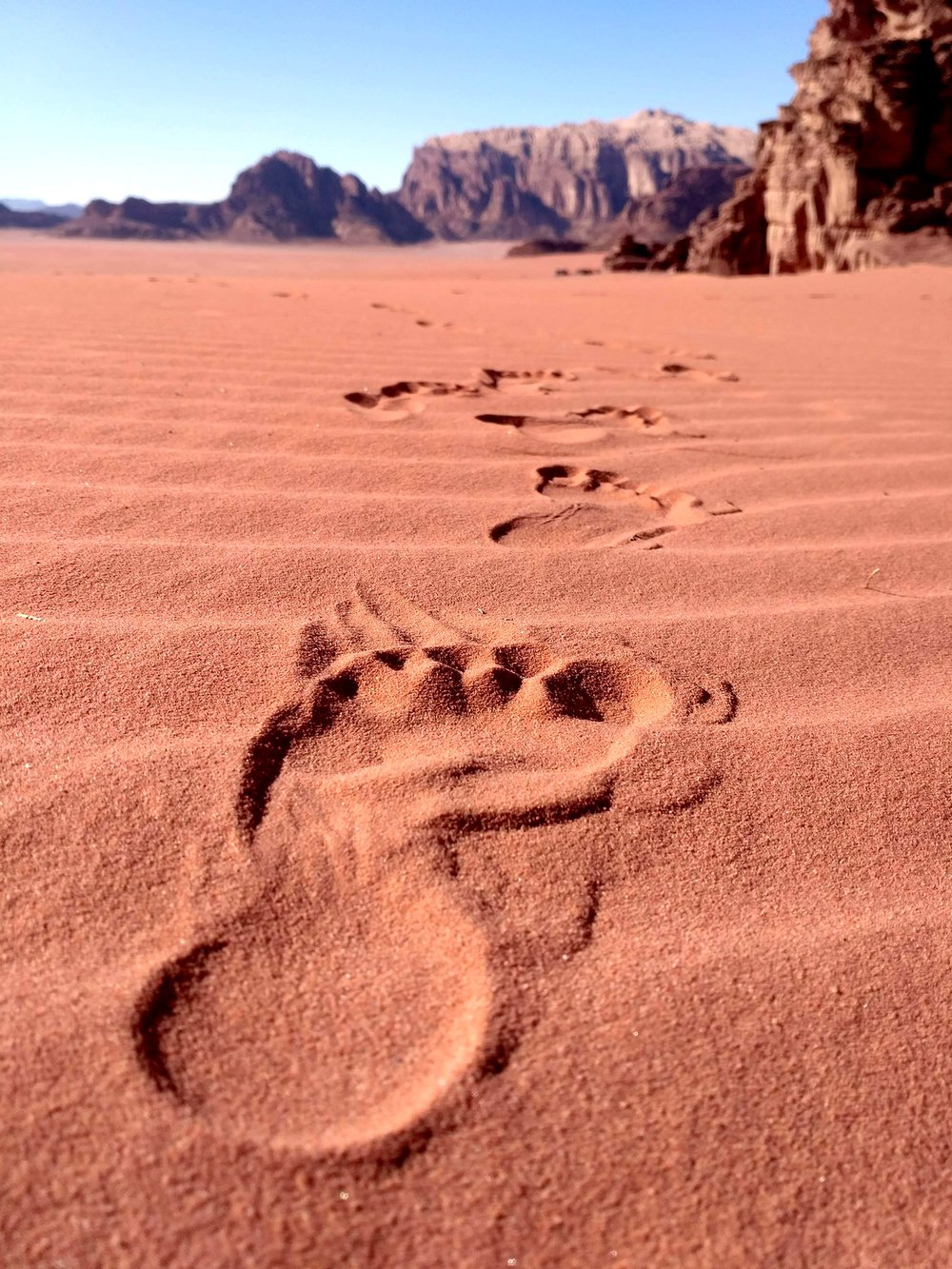  See, we weren't joking when we said ‘wandering around the desert in Jordan barefoot’ just a second ago 