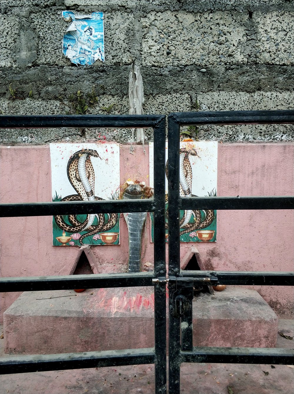  Trying to find out exactly what this serpent shrine is called in Nepal the day after a French serial killer called ‘The Serpent'  gets released early from prison  is no easy task… 