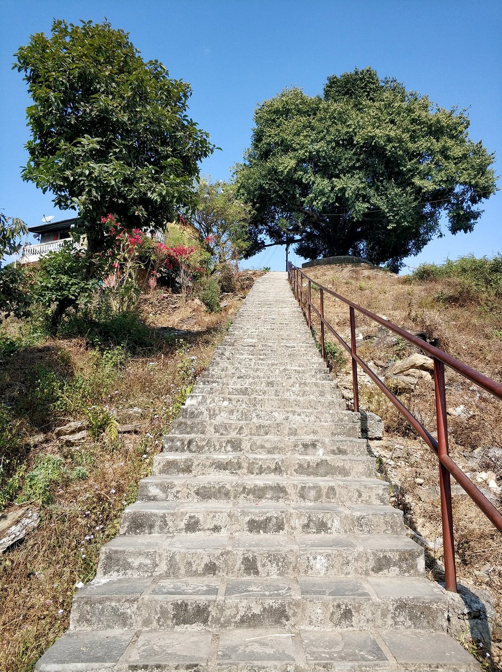  It wasn't only the amount of stairs that had us whining to ourself practically nonstop on the ascent, but the fact that most of them seemed to be going skyward at a 45° angle 