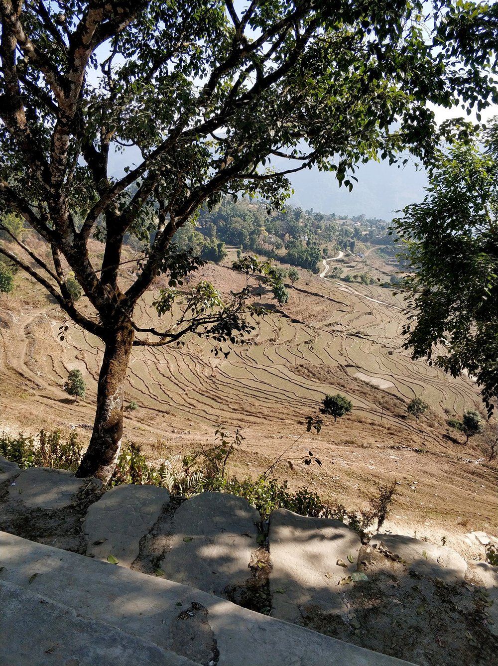  These random steps are a great place to take in the view nevertheless though, as well as rest and eat a banana or two. 