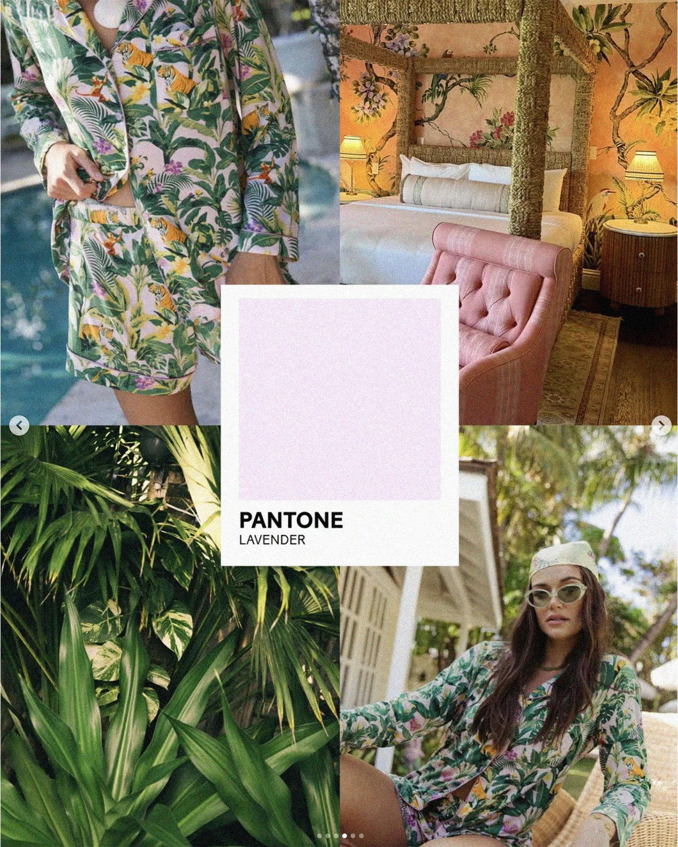 tropicsArtboard 2 copy.jpg