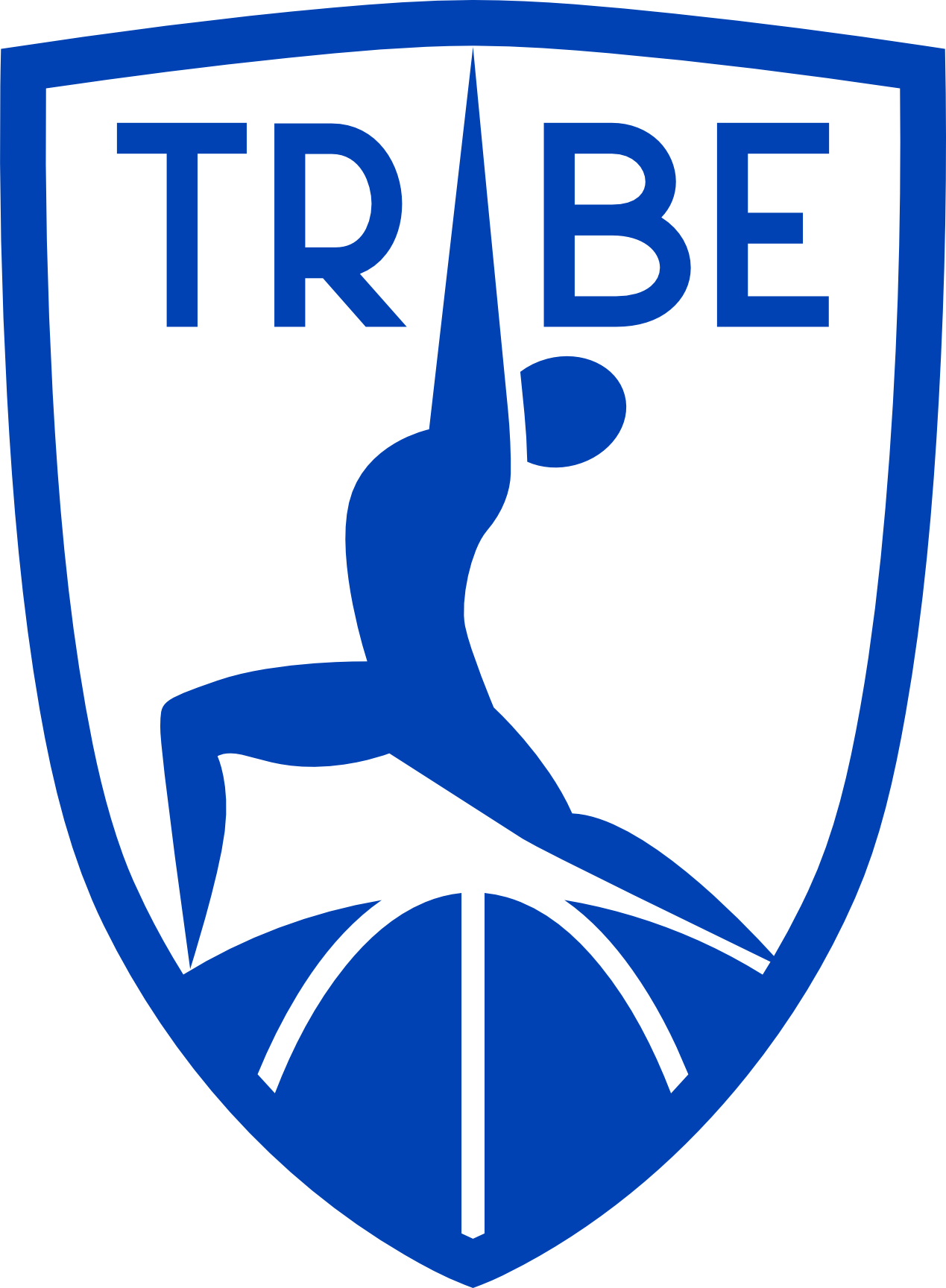 TRIBE: We Teach Resilience, Increase Balance and Endurance