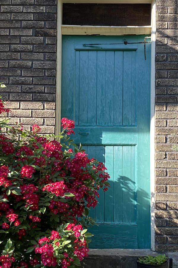 summercolour.jpg