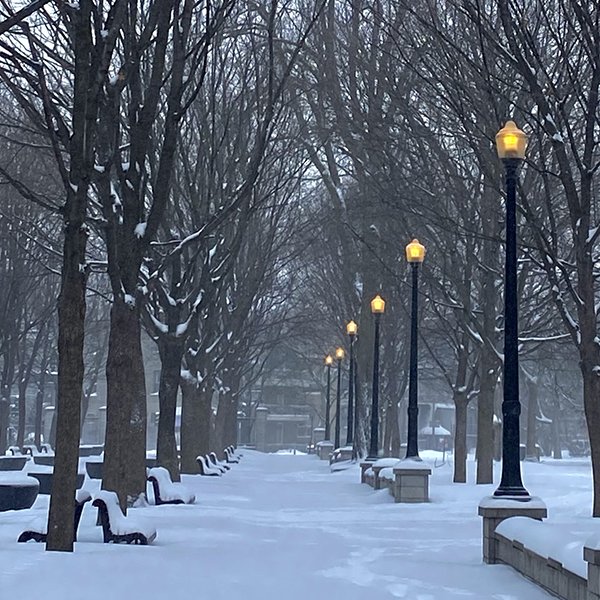 winterscene.jpg