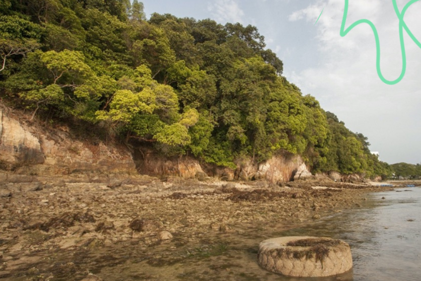 Explore Singapore: Under The Radar Hiking Trails