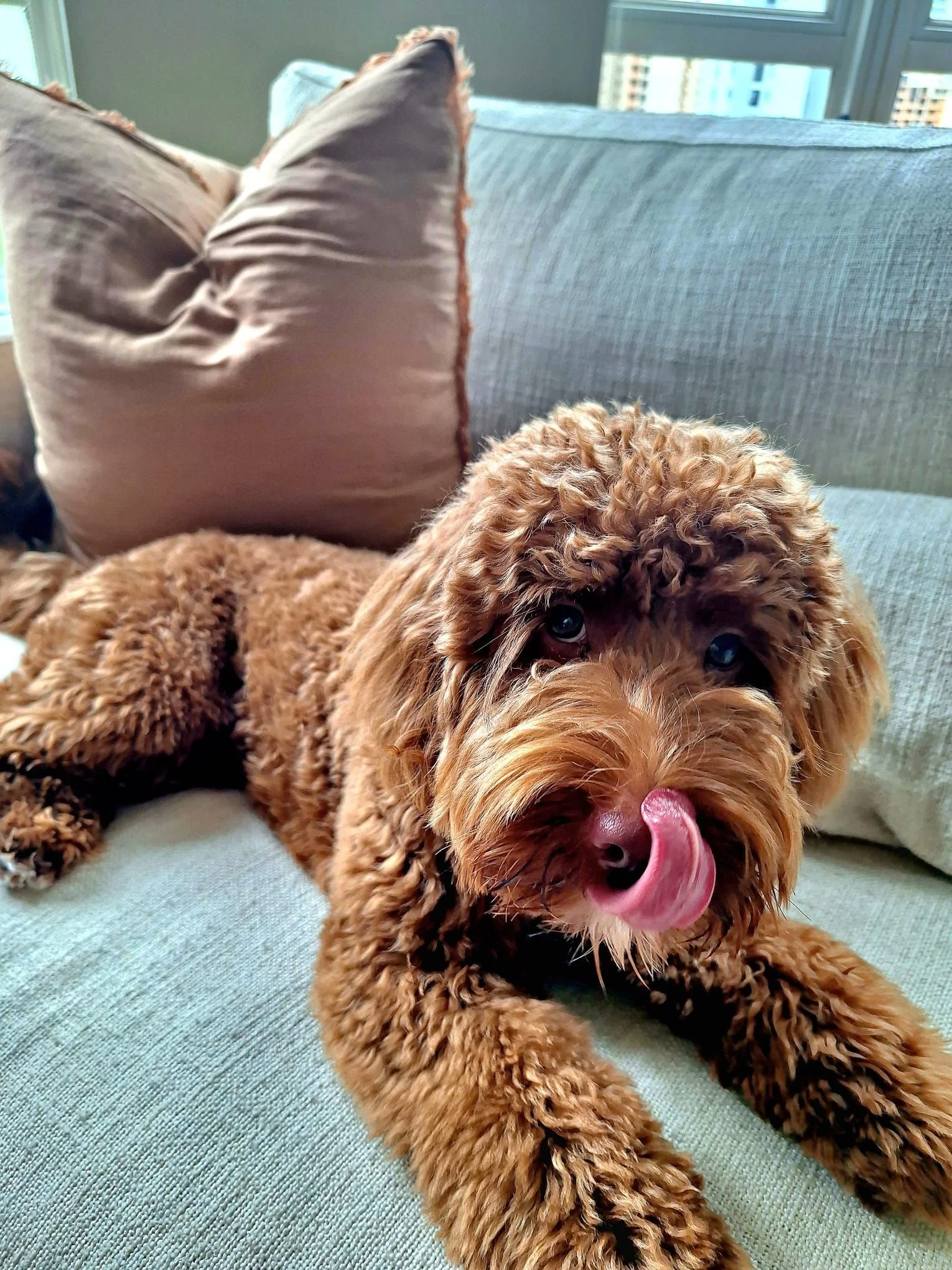 Happy National Pet Day! 