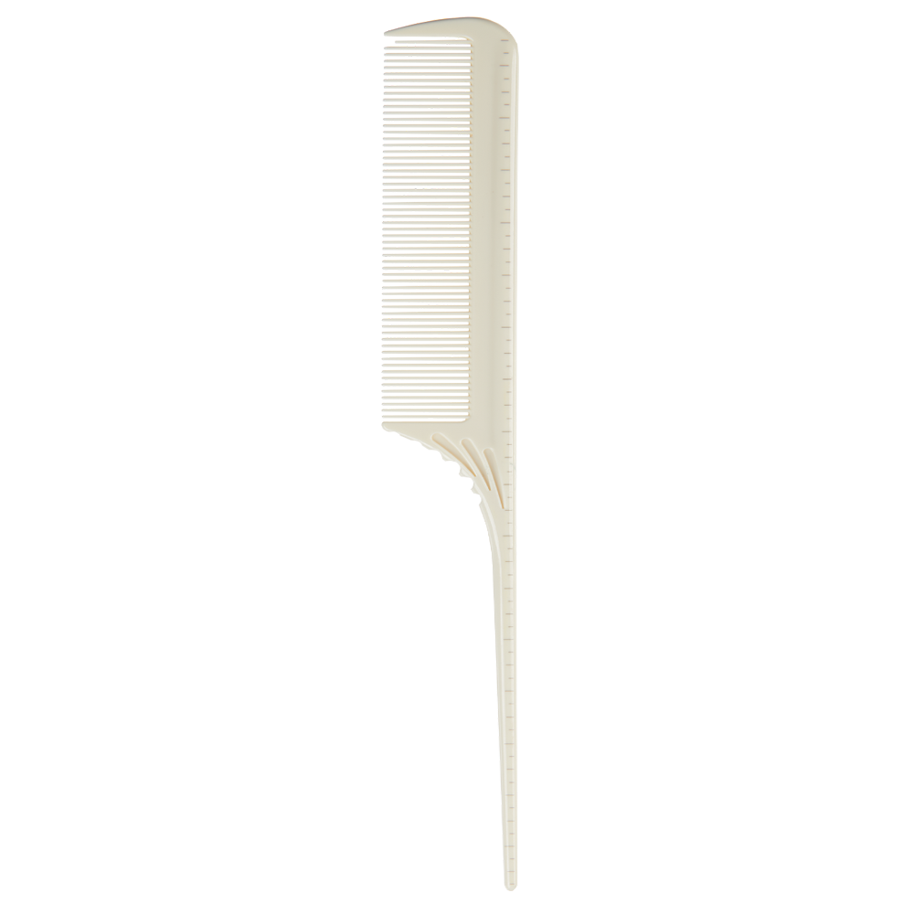 CC24.png (Copy)
