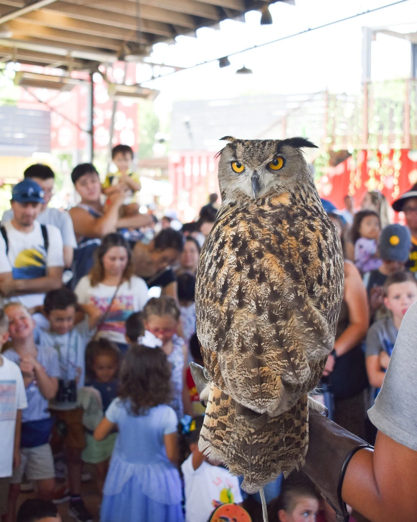 Bird & Reptile Show.jpg