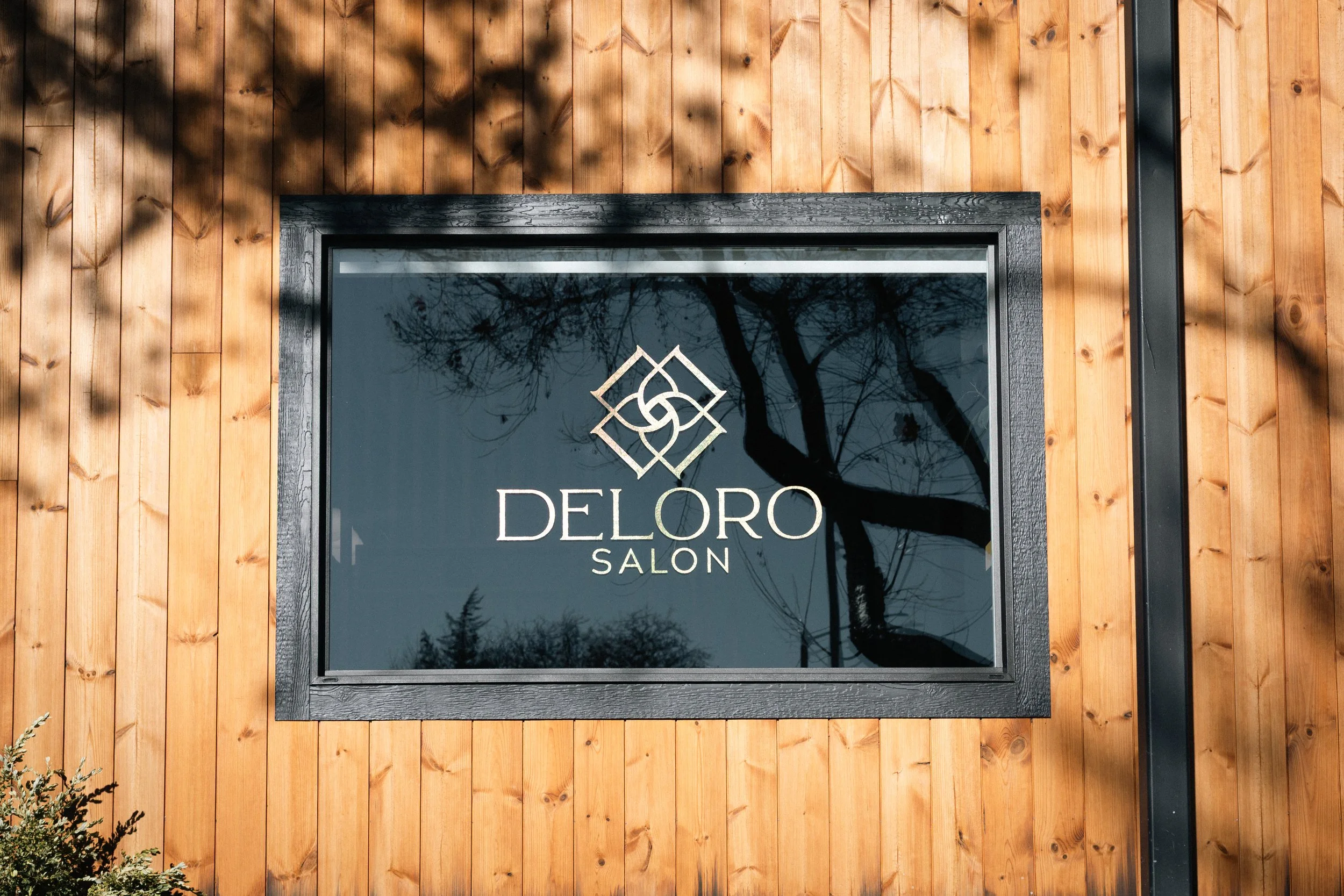 Deloro-4.jpg