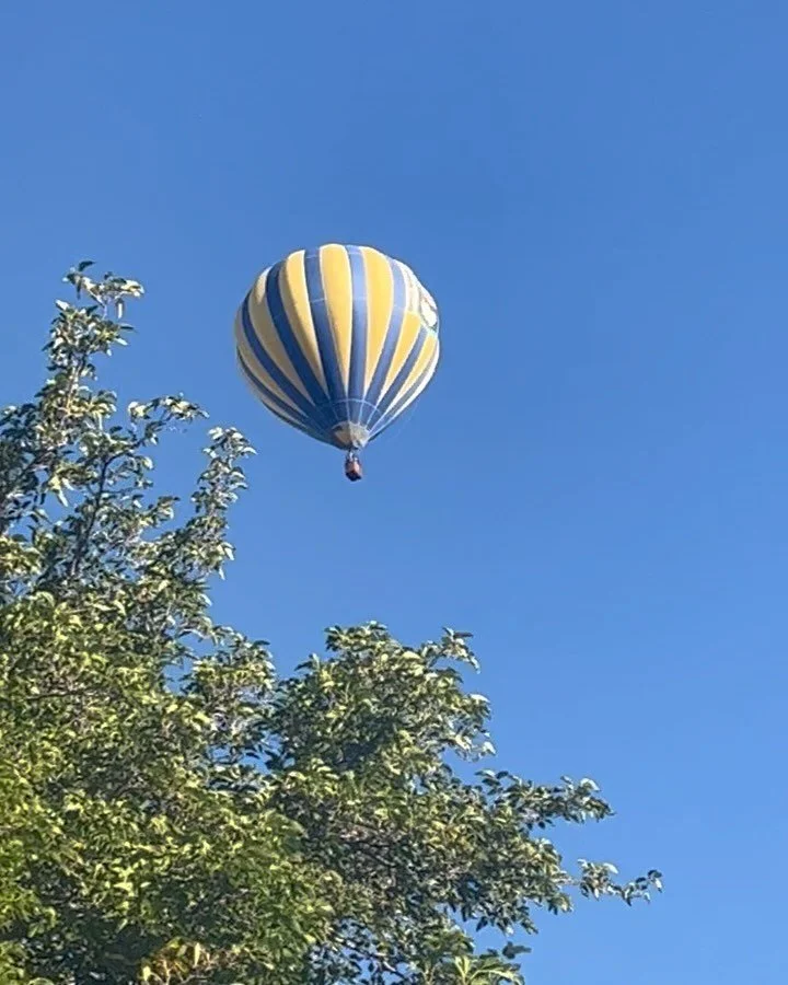 A Gorgeous Thursday! A few balloons flew over my head this morning 😁 Did my first art demo @yuccaartgallery 🎨 this afternoon on the patio. And then got a surprise visit from my dear friend @brittabrunet_art 💘🎊 I&rsquo;ll be there all day tomorrow