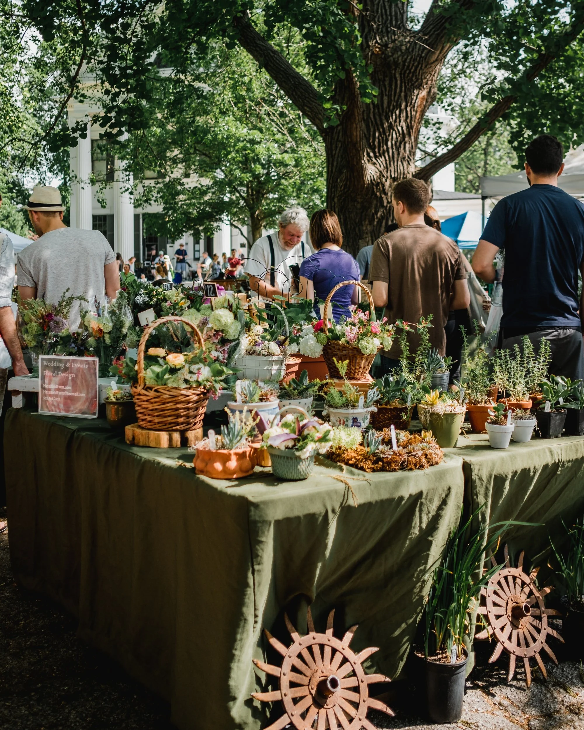 Outdoor flower market with people browsing and vendor selling various potted plants and flowers on a table covered with a green cloth, under a large tree.