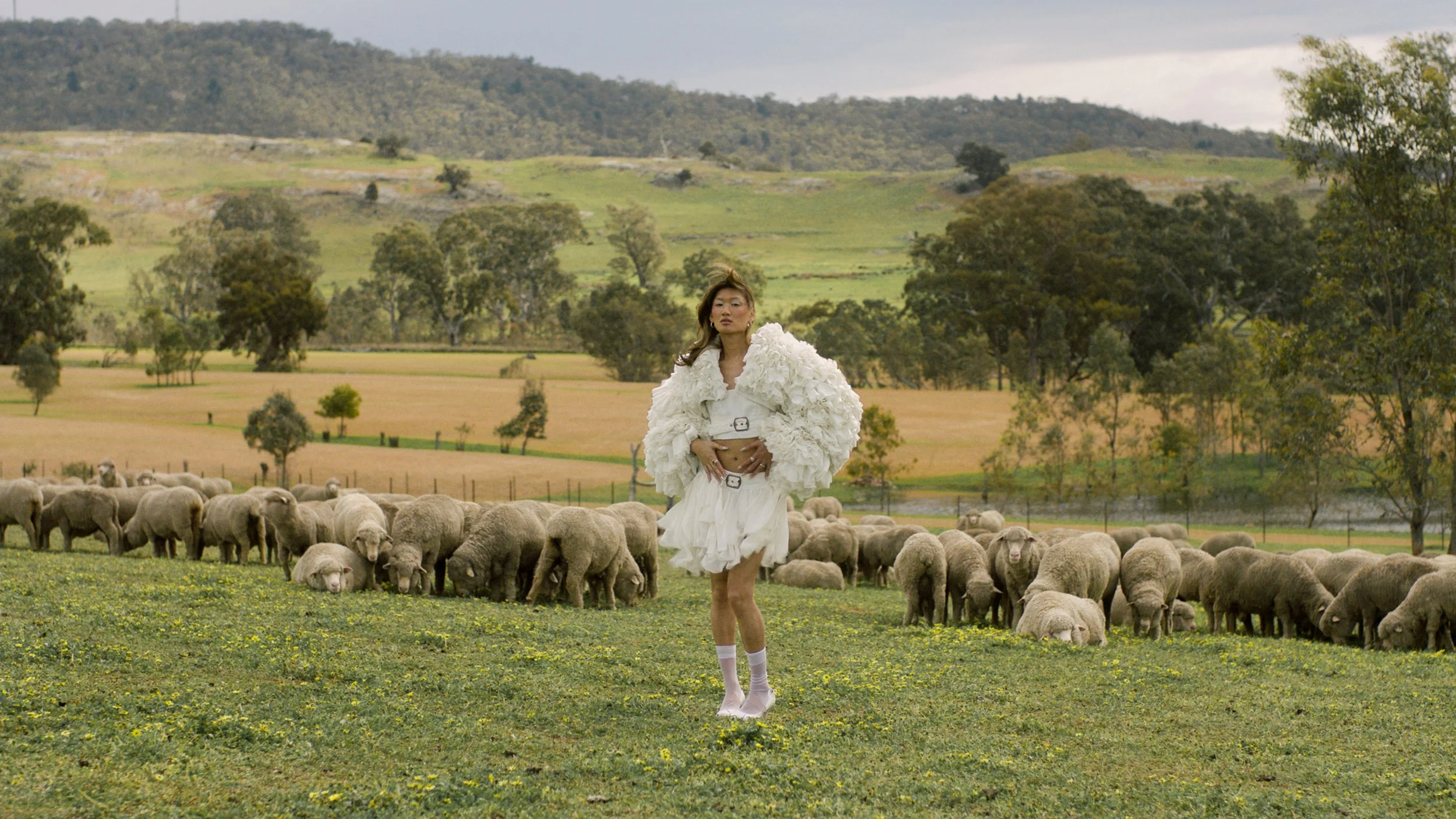 FLYING SHEEP (Directed by Zain Bleed &amp; Maxine Zanoni, Created by Zain Bleed)