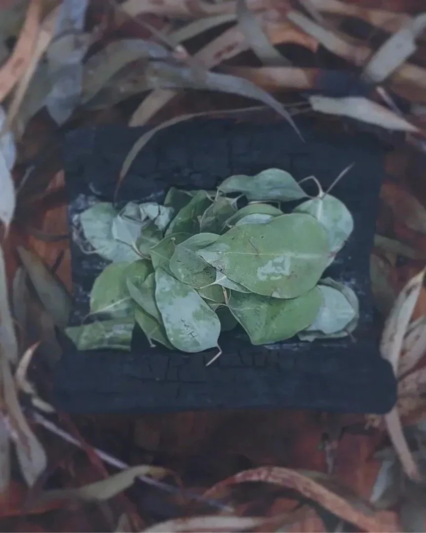 ECHOES OF LAND –&nbsp;HISTORY FASHION / TEXTILES