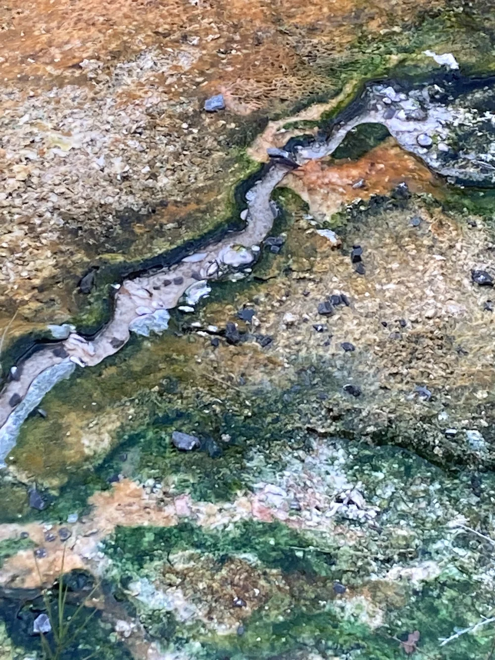 Mother Earth - Waimangu