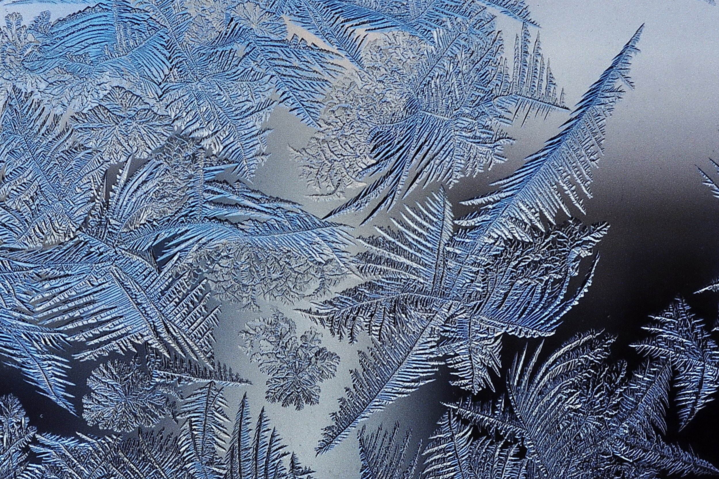 Frost Patterns, Schnobby, CC BY-SA 3.0, via Wikimedia Commons