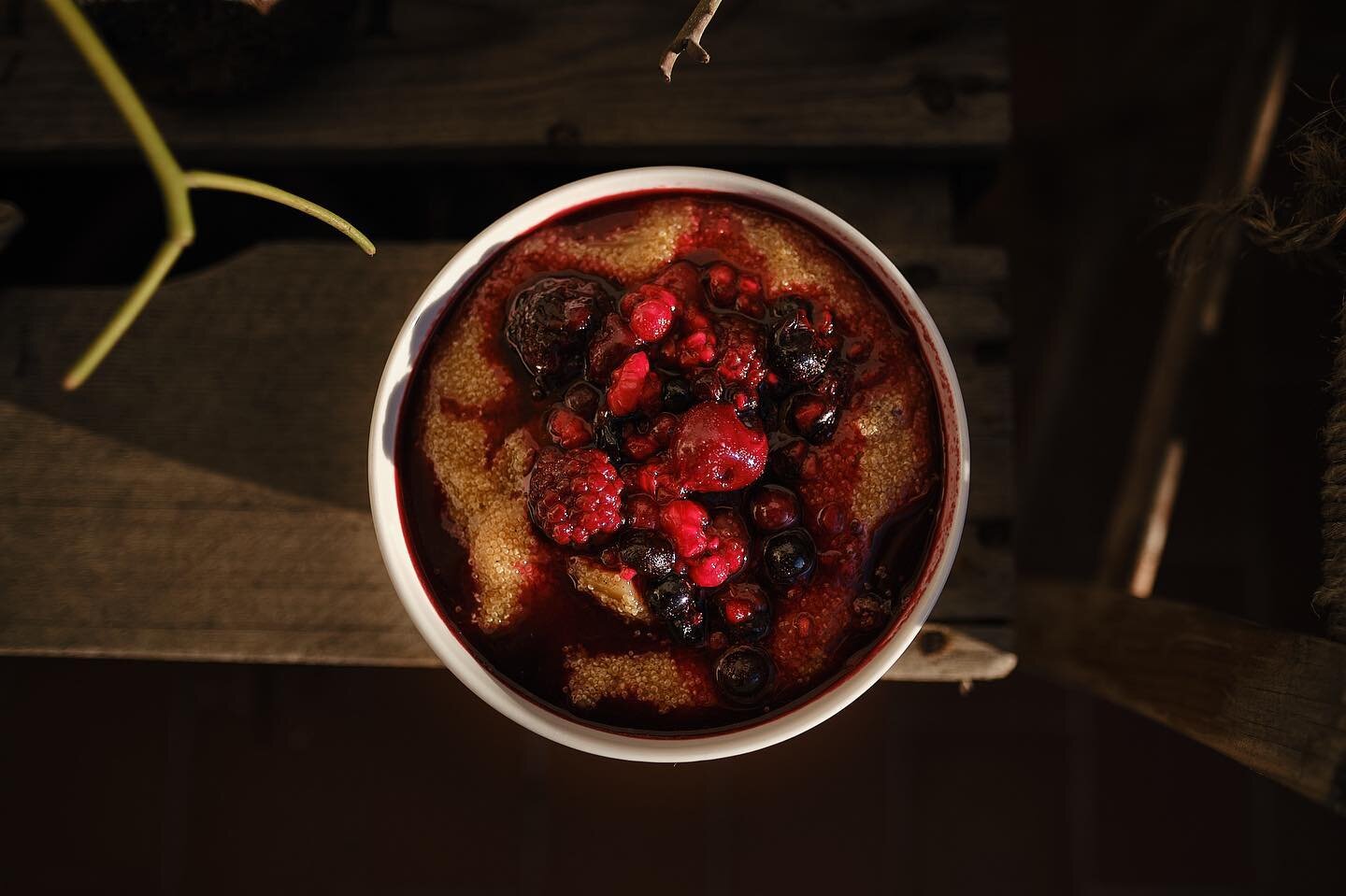 Berry Berry Sunshine. 

Amaranth porridge with cooked apples, dates, and lots of berries with a generous splash of sunshine. What a beautiful way to start the day. 

#berryday #breakfast #alkalinevegan #ibizavegana