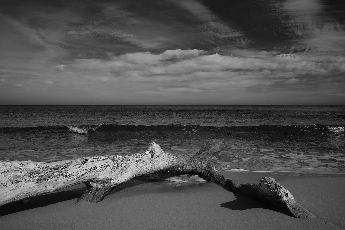 Stranded&hellip;
#ibiza #driftwood #lifecycle