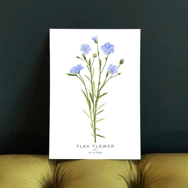 Flax flower print 🌿

Available in more sizes
Shop link in bio 👆
www.ivyandfern.com
.
.
.
#plant #print #wallart #wallprint #painting #homedecor #interiordesign #interiorstyling #interiors #blue #blueflower #flowerart #artforsale #flaxflower #wildfl