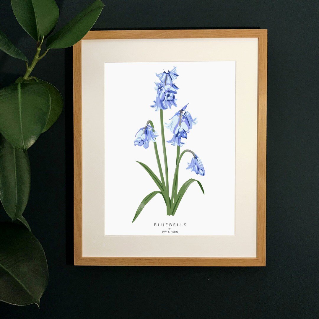 My B L U E B E L L S Print, on sale... 50% off with offer code SPRING21
A3 - with 50% off &pound;11
A4 - with 50% off &pound;9
A5 - with 50% off &pound;6
.
.
.
#shoplinkinbio👆 
#sundayfunday #sunday #sundayoffer #bluebells #spring #floralwallart #wa