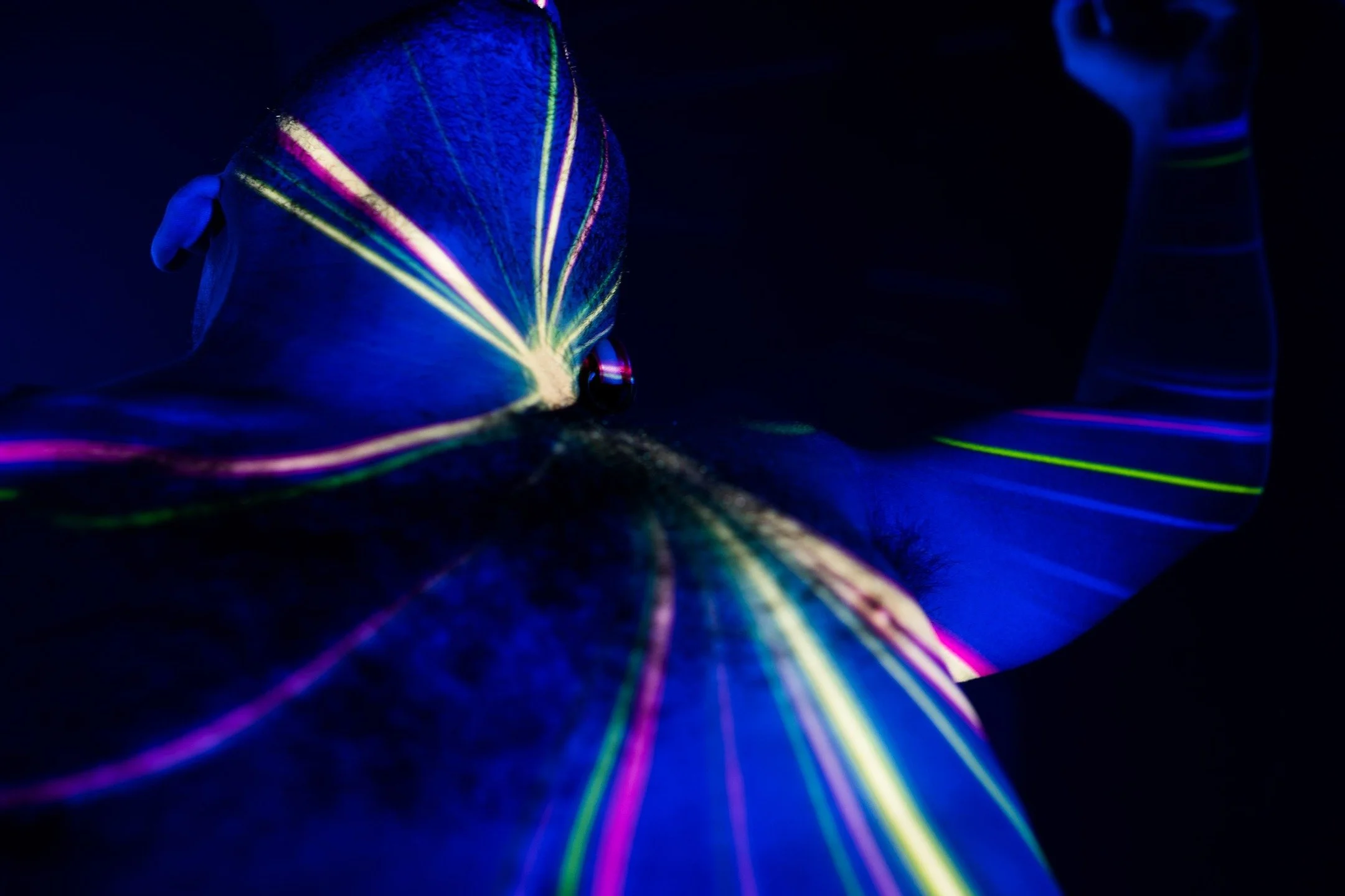 .
🖼️ The Places We Know: Selected Works from the Bethlem Gallery Art Collection
📍 Bethlem Gallery (@bethlemgallery) 🗓️ 4th February &ndash; 11th April 2026
🔗 More info in the link in my bio

The Places We Know&nbsp;brings together two of Bethlem 