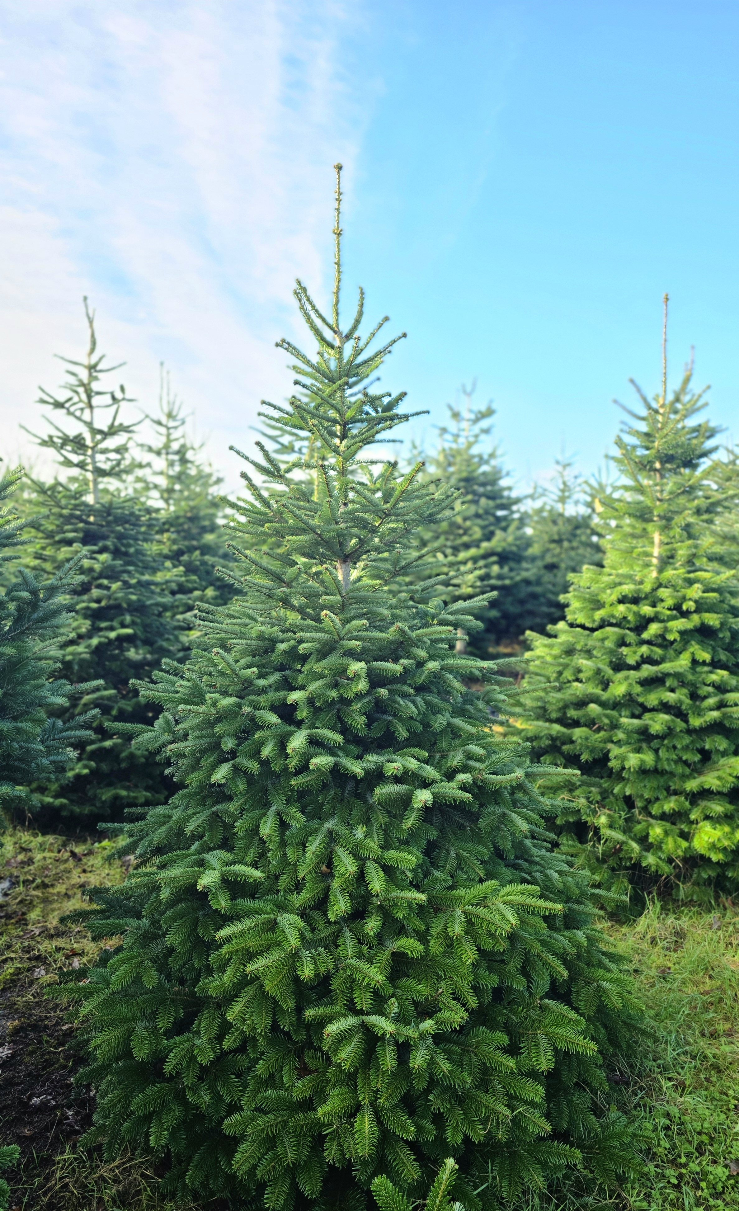 20251123_122701 (1).jpg