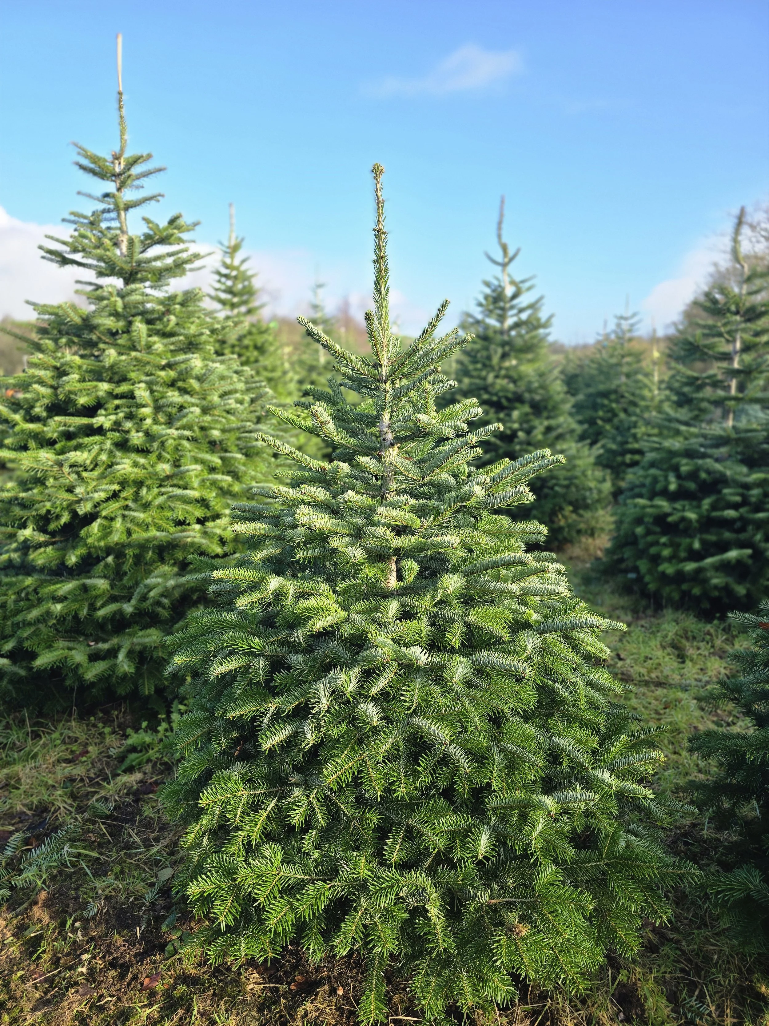 20251123_125040 (1).jpg