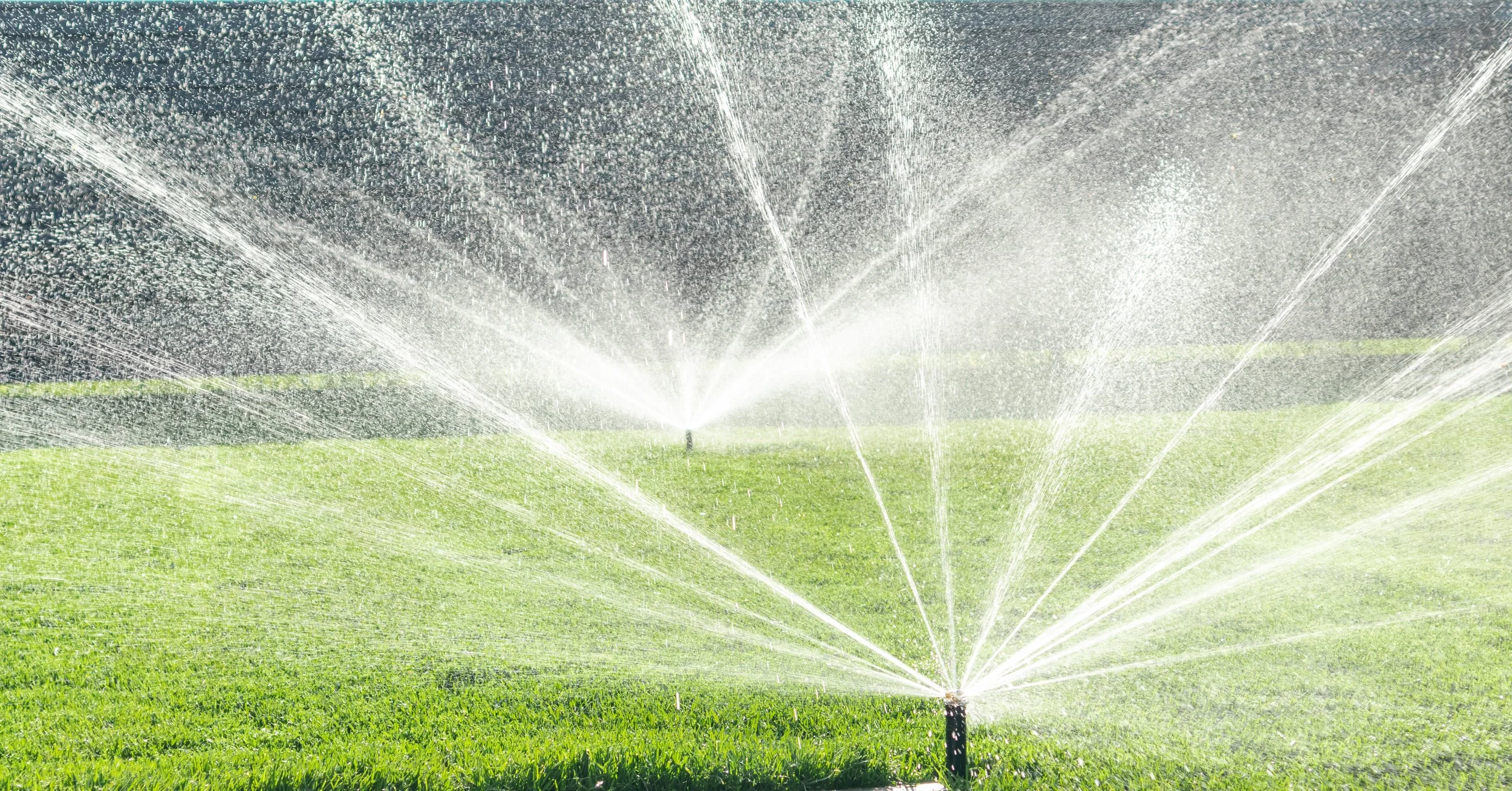 A sprinkler watering a green grass field on a sunny day, with water spraying in multiple directions.