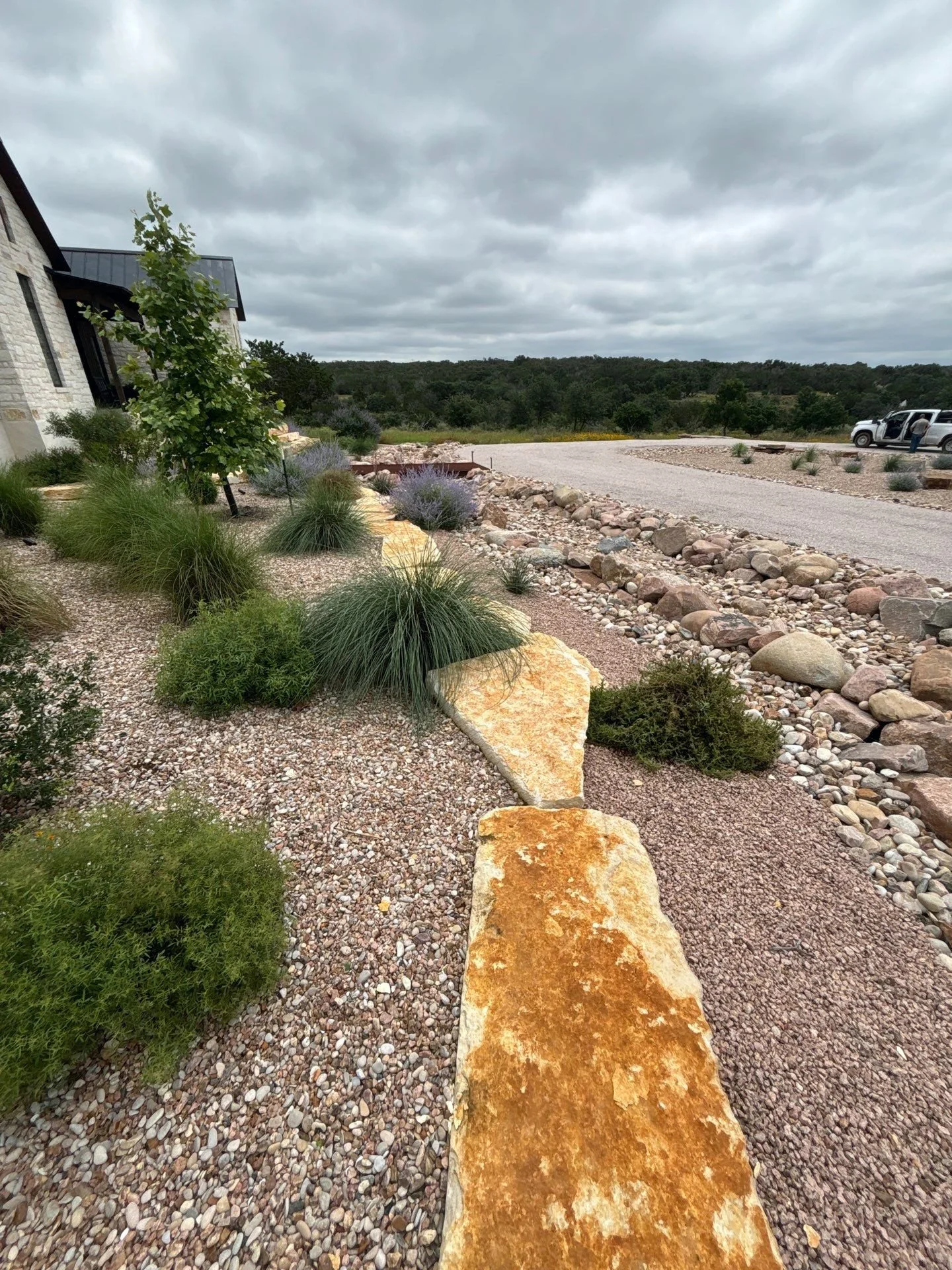 Dry creek bed with limestone slab crossing and native plants in the Texas Hill Country.