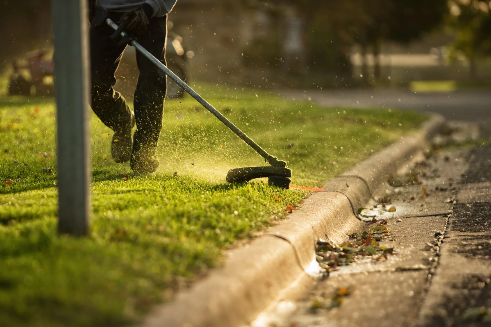 A person using a string trimmer to mow grass along a sidewalk during sunset, with fallen leaves on the curb.