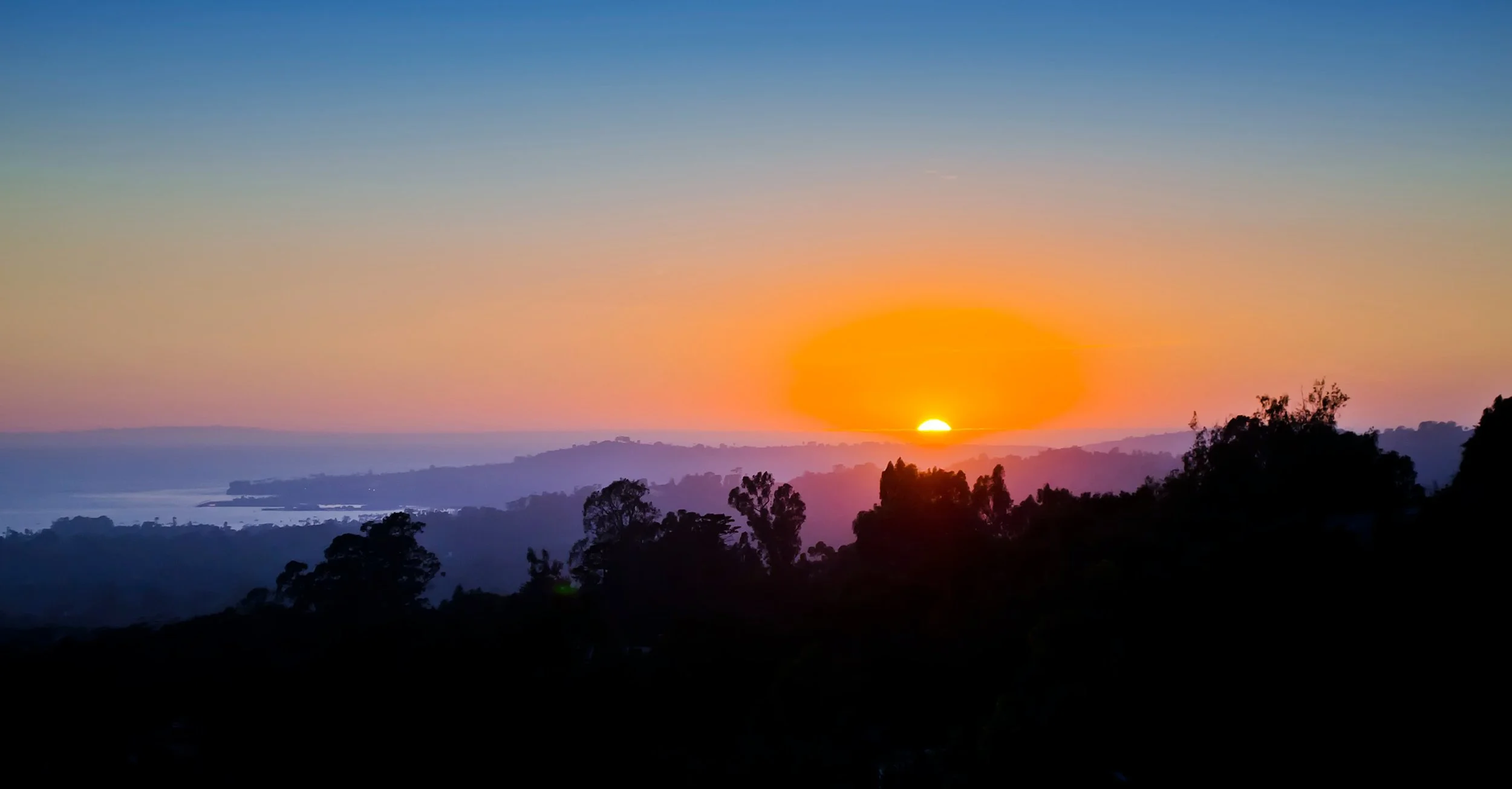 You deserve to shine, thrive and succeed